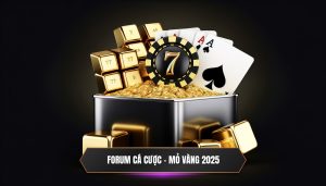 Forum cá cược - Mỏ vàng 2025