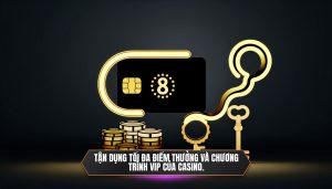 Tận dụng tối đa điểm thưởng và chương trình vip của casino